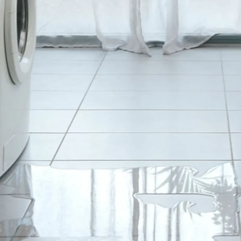 Appliance Leak Cleanup in Cocke County, TN