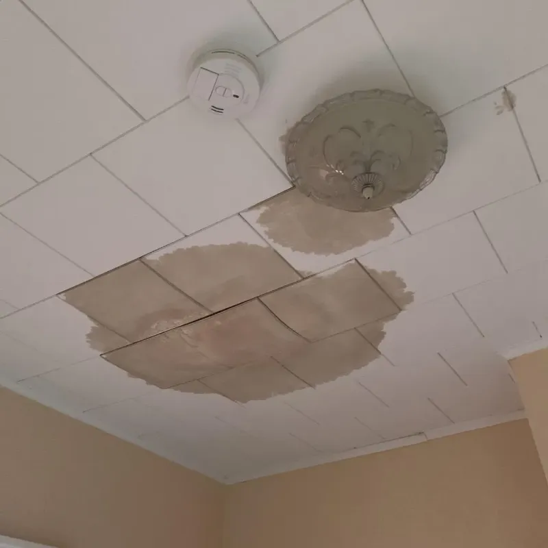 Ceiling Water Damage Repair in Cocke County, TN