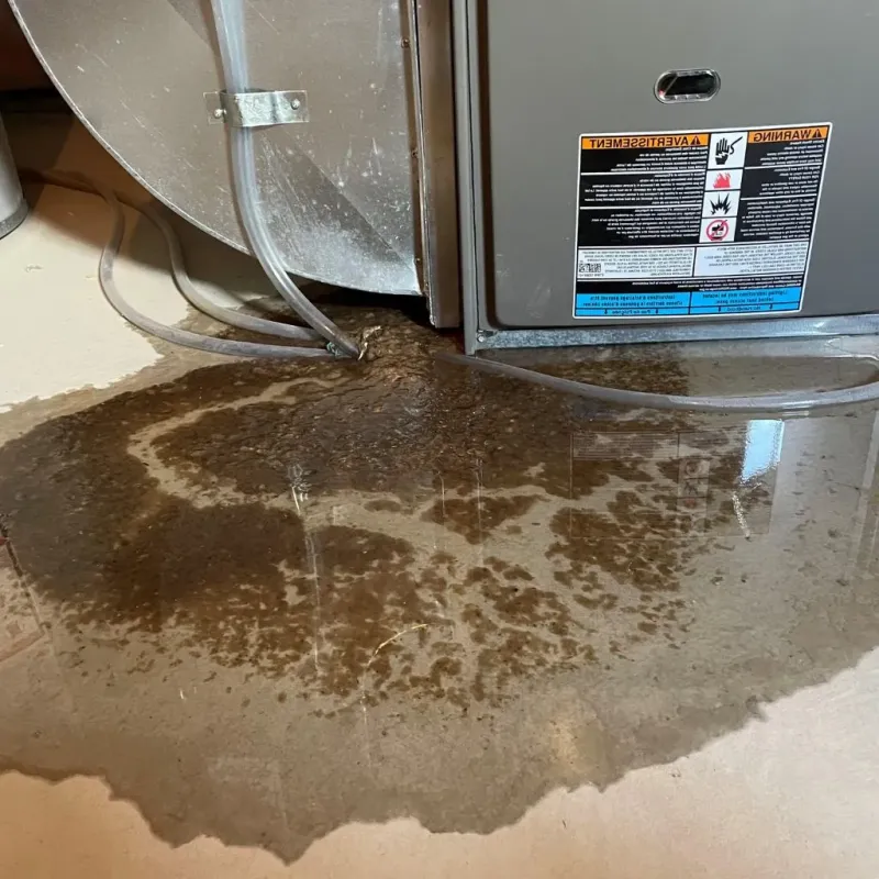 Pipe Burst and Leak Restoration in Cocke County, TN