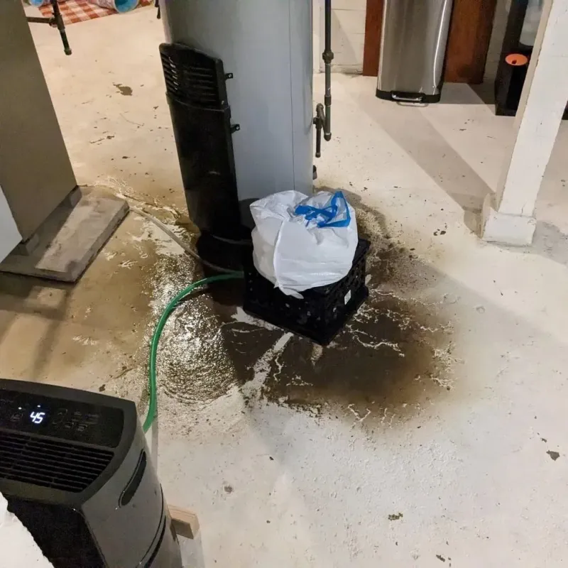 Sewage Backup Cleanup Service in Cocke County, TN